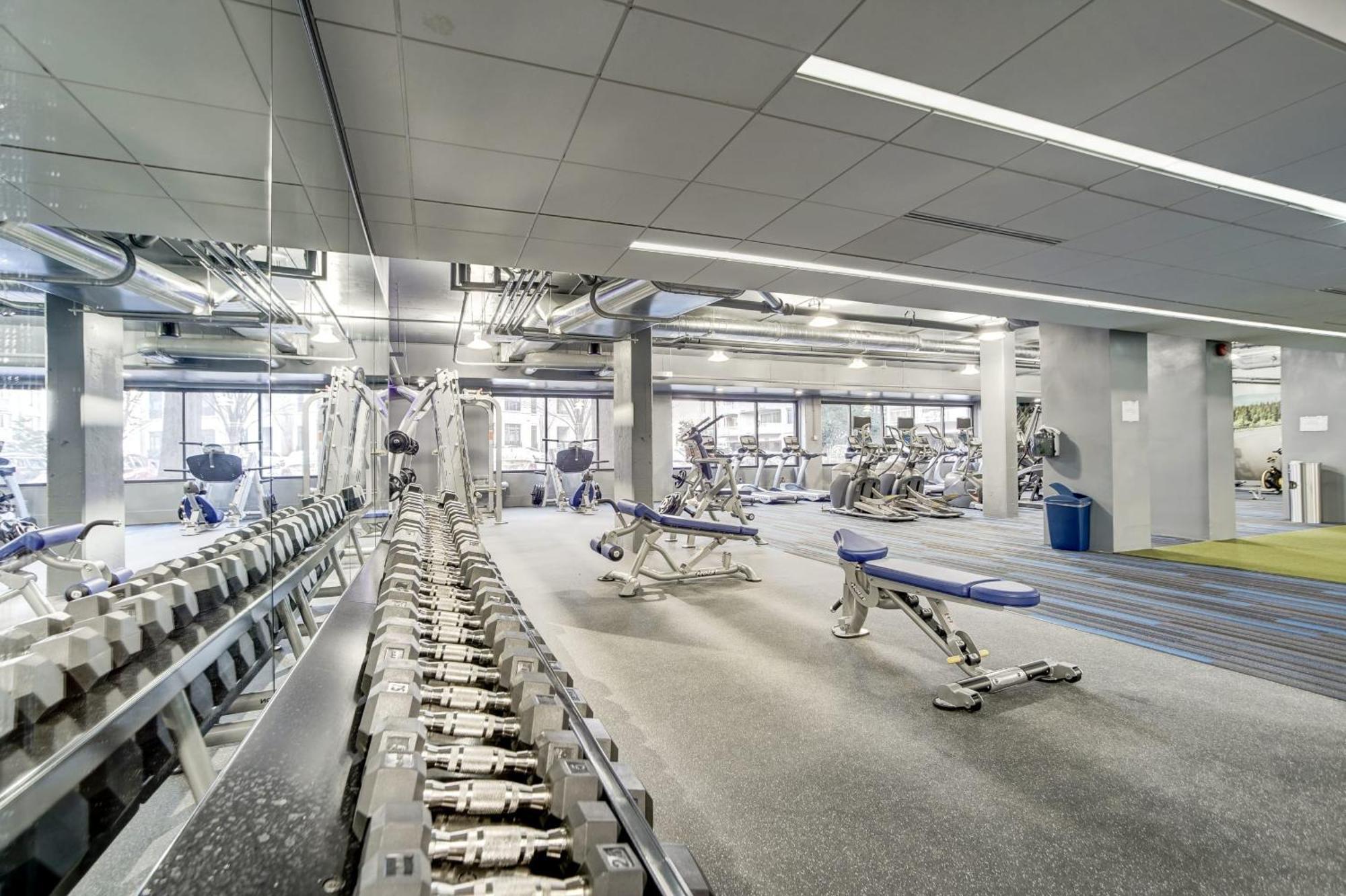 Crystal - Fantastic 2br Aprtment With Gym Apartment *